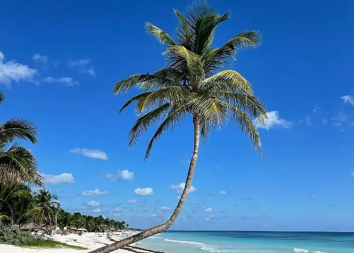 Chavez Eco And Campsite Tulum